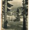 AD 986 C. P. VECHE - PREDEAL -VEDERE SPRE CIOPLEA -RPR -DEZLIPITA DIN TABLOU