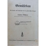 Gemusebau (1934) - 1934 - Lambert Mullers (I85)