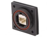 Adaptor Ethernet Buccaneer 5e Poliamidă Aurit 1,5A