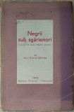 Cumpara ieftin NEGRII SUB SGARIENORI:TRADUCERI DIN POEZIA NEGRILOR AMERICANI DE ION STOIA-UDREA