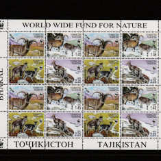 Tajikistan 2005-WWF,Fauna,Oaia albastra,Bharal,Coala 4 serii.MNH,Mi.392-395AKB