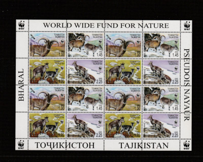 Tajikistan 2005-WWF,Fauna,Oaia albastra,Bharal,Coala 4 serii.MNH,Mi.392-395AKB foto