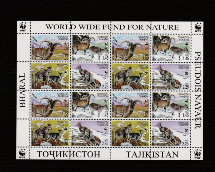 Tajikistan 2005-WWF,Fauna,Oaia albastra,Bharal,Coala 4 serii.MNH,Mi.392-395AKB