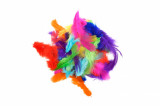 Pene colorate pentru activitati crafts-100 bucati