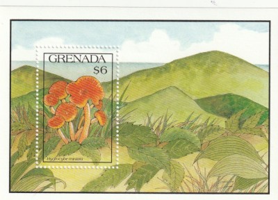 Grenada 1991 - Flora , Ciuperci , Colita , dantelata , MNH ,Bl.284 foto
