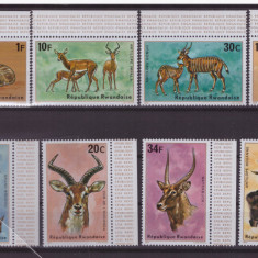 33-RUANDA 1984-Animale din Africa-mamifete-Serie de 8 timbre nestampilate MNH