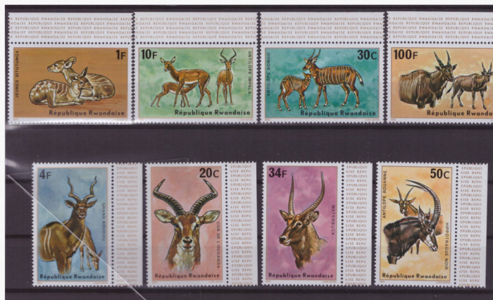 33-RUANDA 1984-Animale din Africa-mamifete-Serie de 8 timbre nestampilate MNH