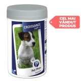 Supliment vitamine pentru caini Pet Phos 100 tablete