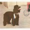 CA9 -Carte Postala-Asociatia chinologilor din R.S.R. Caniche ,circulata 1983