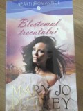 BLESTEMUL TRECUTULUI-MARY JO PUTNEY-272708