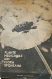 Plante medicinale din flora spontana - Constantinescu Corneliu