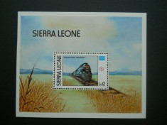 A2 BLOC SIERRA LEONE TRENURI