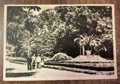 QW23 B - Carte postala - tematica turism - vedere - Romania - Buzias 15 - 1954