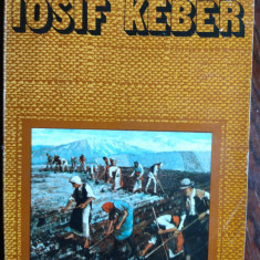 ION MOCIOI: PICTORUL IOSIF KEBER/1980/DEDICATIE IOSIF KEBER PT SERBAN CIOCULESCU