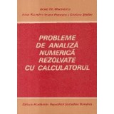 Probleme de analiza numerica rezolvate cu calculatorul
