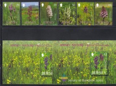 Jersey 2003 - Orhidee sălbatice, Serie + Colita + Colita cu Supratipar &amp;quot;Jersey at Bangkok 2003&amp;quot;, SET COMPLET, MNH foto