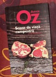 Amos Oz - Scene de viata campestra