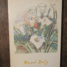 Raoul Dufy - Claude Roger-Marx