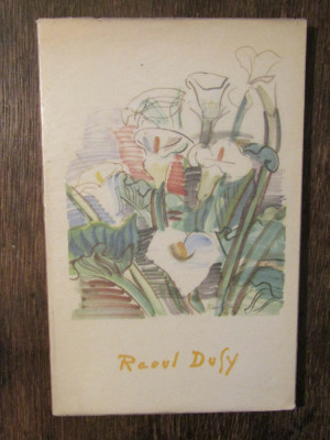 Raoul Dufy - Claude Roger-Marx foto