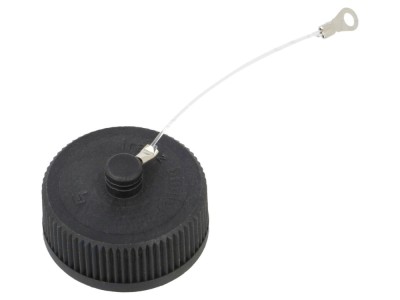 Capac protecție conector RD30, filet interior foto