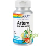 Artery Blend 100cps