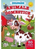 Cumpara ieftin Coloram animale domestice. 80 de pagini pentru tine!/***