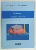 MASINI-UNELTE SI PRELUCRARI MECANICE de LAURENTIU RECE si GHEORGHE SOARE , 2003