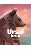 Ursul-brun. Enciclopedie pentru copii - Tudor Cozari