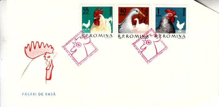 C12 - FDC Romania - Pasari de rasa - LP560 - 1963