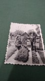 FOTO TIP 9/6 CIMITIRUL VESEL