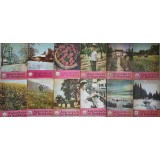 REVISTA APICULTURA IN ROMANIA 1988 (NR.1-12 - COMPLETA)-COLECTIV-253732