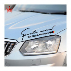 Sticker Sports Mind Skoda Motorsport foto