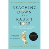 Reaching Down The Rabbit Hole