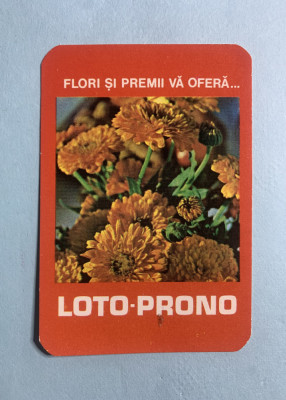 Calendar 1981 loto prono foto