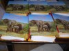 Enciclopedia Minunata Lumea Animalelor Reader&#039;s Digest - 6 Vol + Fise (2011) - Colectie Completa