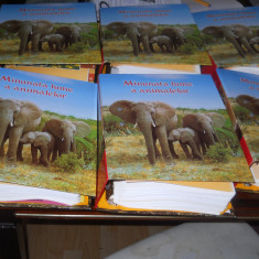 Enciclopedia Minunata lume a animalelor- Readers Digest- 6 volume cu fise!- 2011