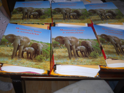 Enciclopedia Minunata lume a animalelor- Readers Digest- 6 volume cu fise!- 2011 foto