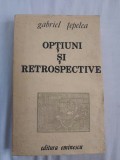 Gabriel teplea-optiuni si retrospective