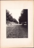 G212N Trăsuri și biciclist pe stradă din Arad, fotografie de Aurelian Florinescu
