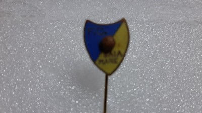 insigna FC Baia Mare foto