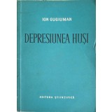 DEPRESIUNEA HUSI-ION GUGIUMAN-249248