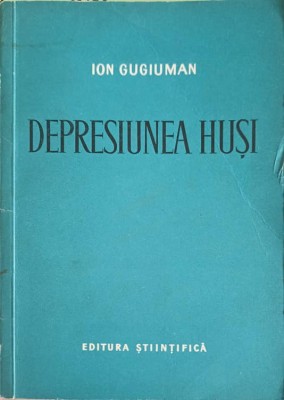 DEPRESIUNEA HUSI-ION GUGIUMAN-249248 foto