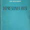DEPRESIUNEA HUSI-ION GUGIUMAN-249248