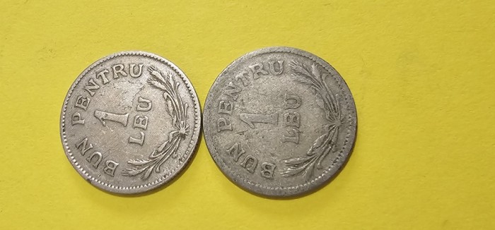 Leu 1924 , doua monede