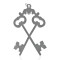 icon 2