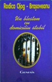 Rodica Ojog-Brasoveanu - Un blestem cu domiciliu stabil