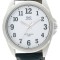 Ceas Barbatesc Elegant Q&amp;Q Q416J304Y Original