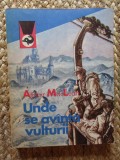Alistair MacLean - Unde se avanta vulturii