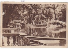 AMS - ILUSTRATA 1352, BOTOSANI - VEDERE DIN PARCUL &amp;bdquo;M. EMINESCU &amp;rdquo;, ANUL 1956, cu perforari foto