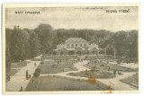 4885 - Baile EPISCOPIEI ( 1 MAI ), Bihor, Park - old postcard - unused, Necirculata, Printata